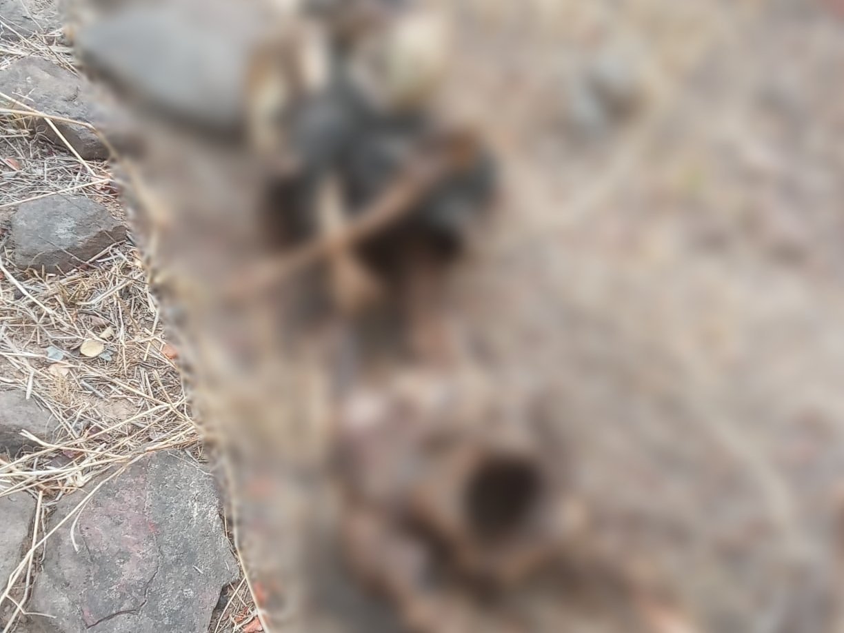 न्यू ईयर पर अल्मोड़ा में सनसनी: जंगल से मिला नर कंकाल, जेब में मिली पर्ची से हुई पहचान, 2 माह से बागेश्वर में खोज रहा था परिवार